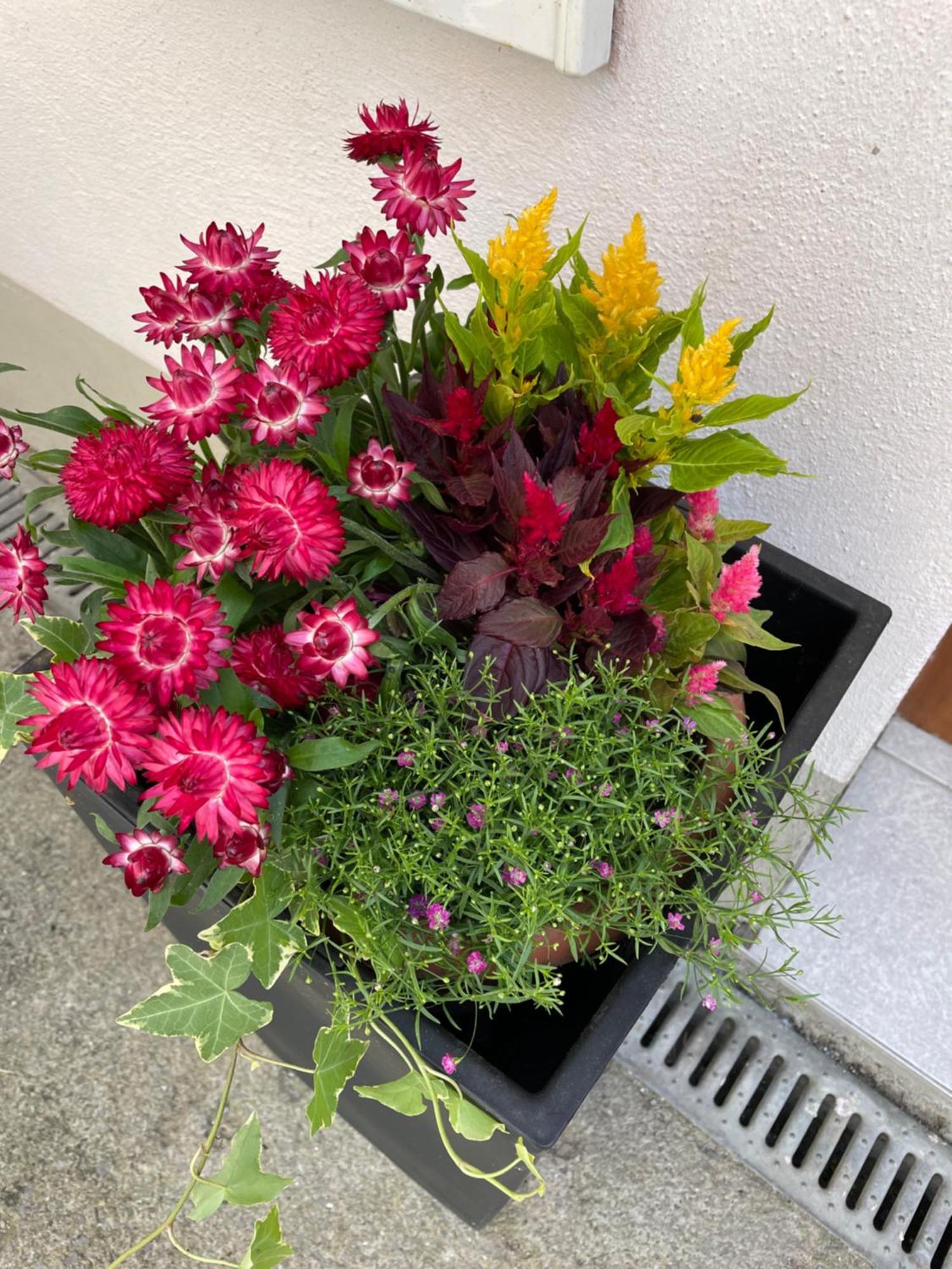 Ferienwohnung Emma An Der Romantischen Strasse Weikersheim Bagian luar foto